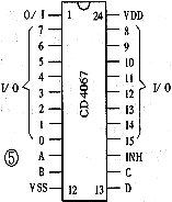 0501.gif (2342 bytes)